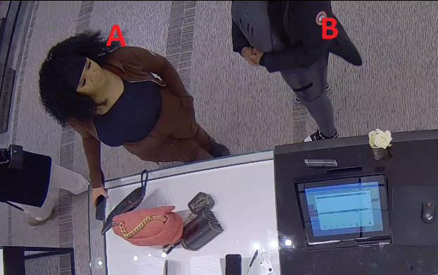 To kvinder efterlyses for bedrageri med stjålet betalingskort