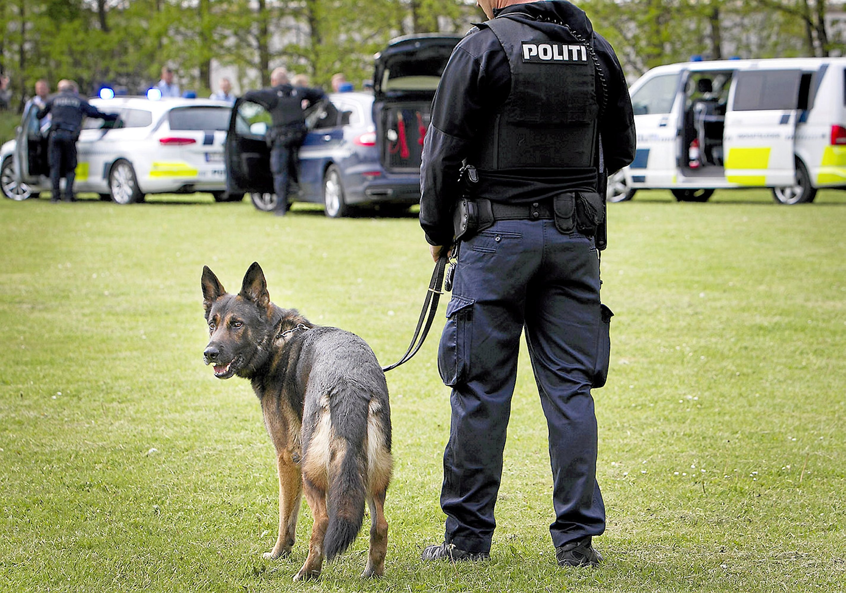 Fornyet søgning i sagen drabet i Elverparken Nyheder | Københavns Vestegns Politi