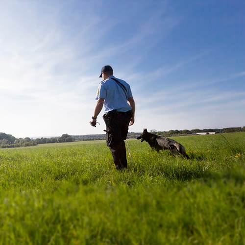 Hundefører og patruljehund