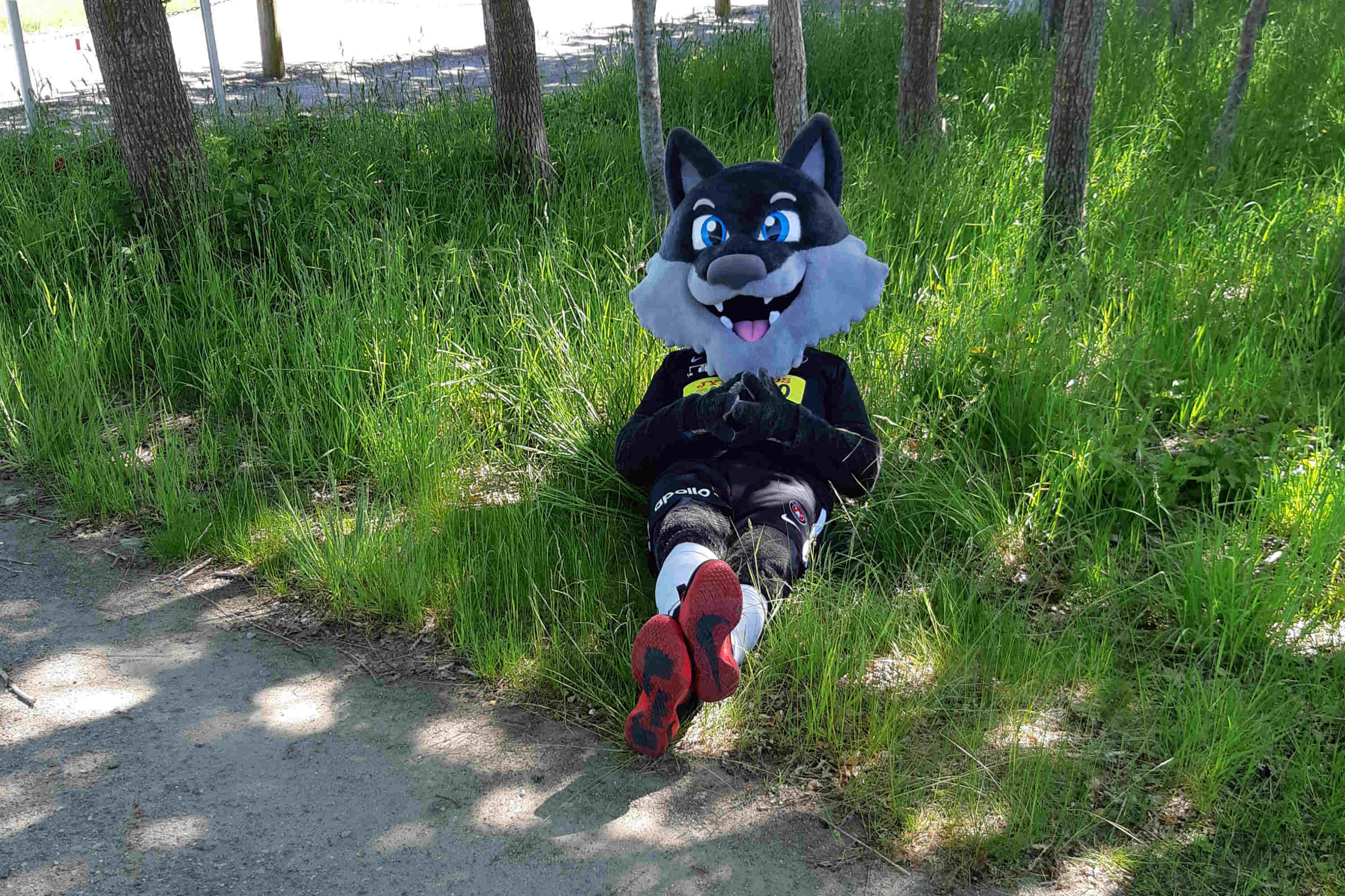 Lige som FCM-maskotten Lupus kunne Midt- og Vestjyllands Politi tage det forholdsvist roligt, da der i dag var drive in-fodbold i Herning.