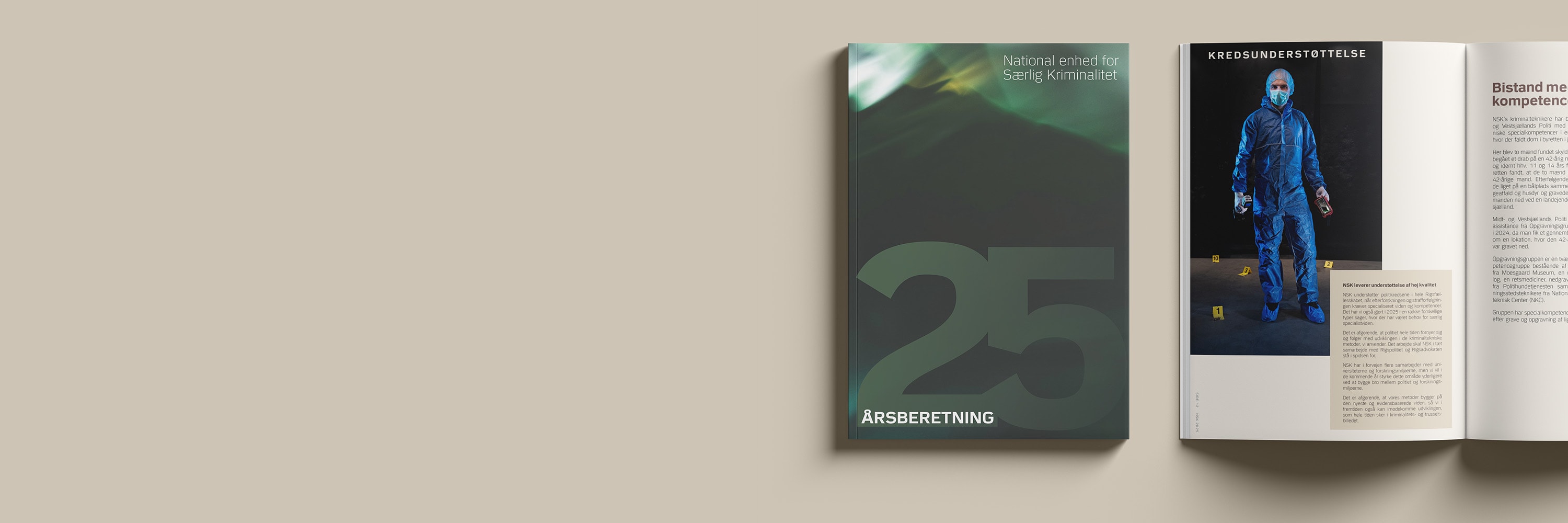 NSk Årsberetning mock up