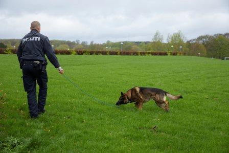 Hund og betjent på græs