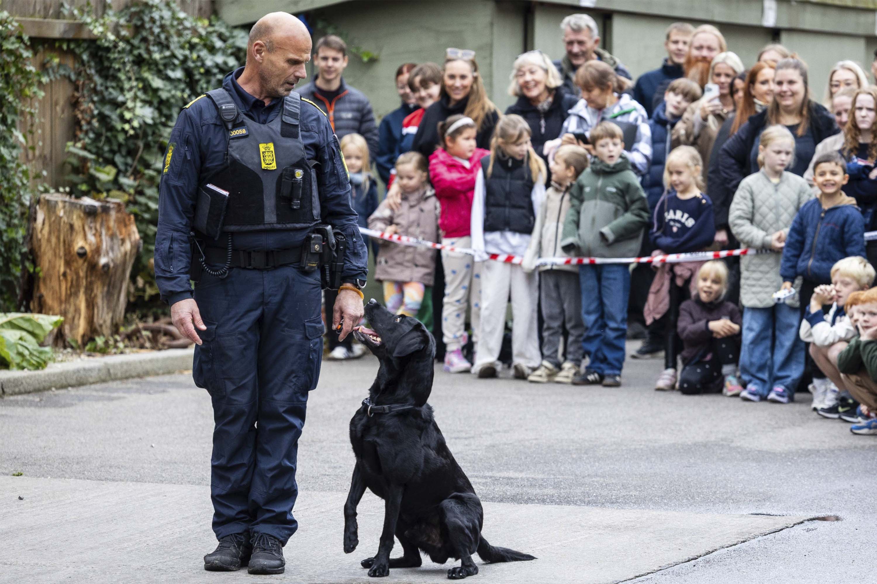 Efterårsferie