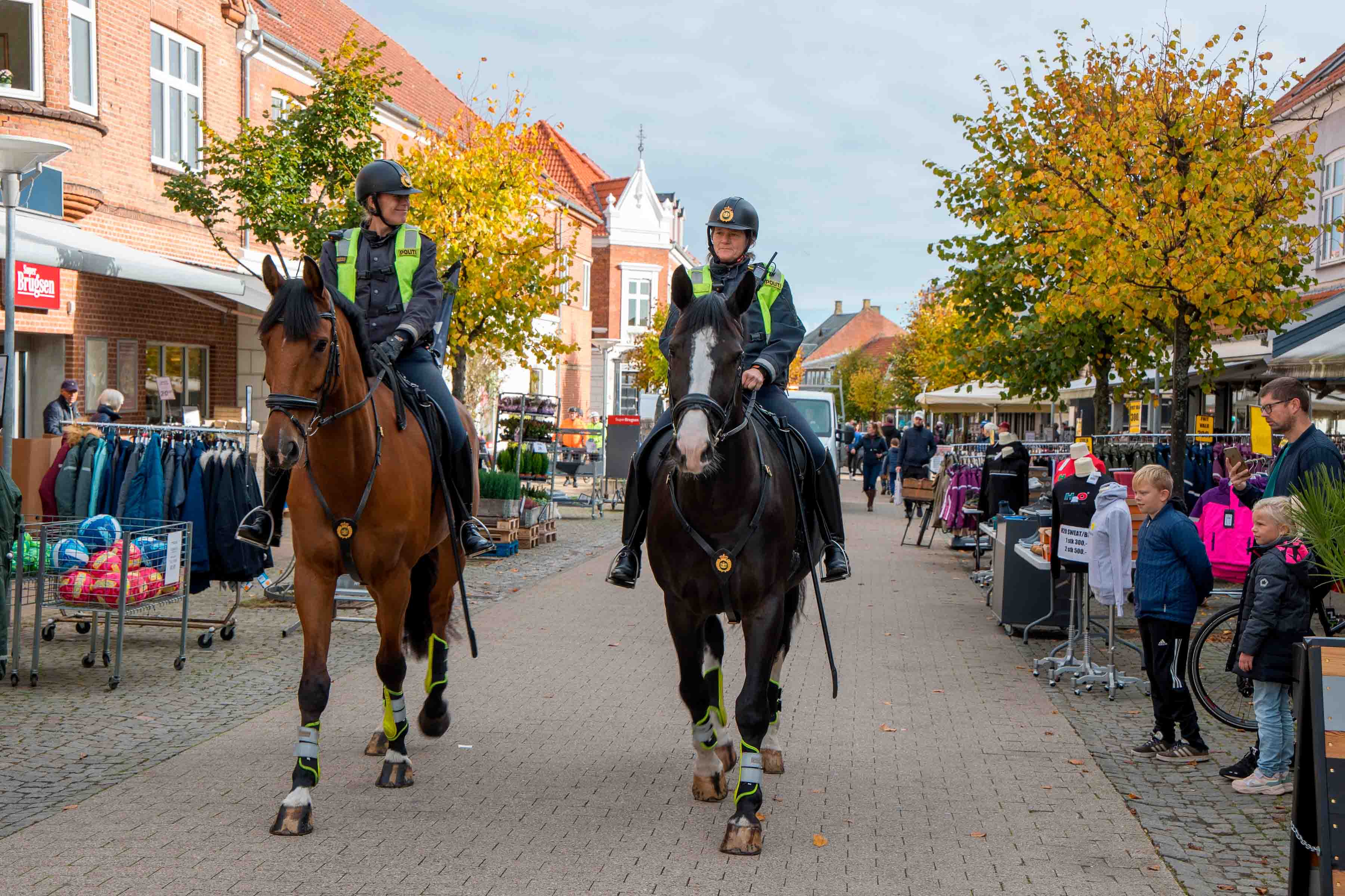 Politiheste Nykøbing Sj